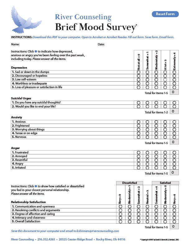 mood_survey_form.pdf